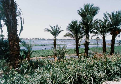 Luxor   Nile River